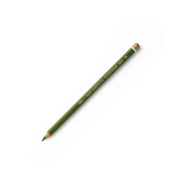 Koh-I-Noor Polycolor Artist's Coloured Pencil - Meadow Green (25)