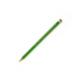 Koh-I-Noor Polycolor Artist's Coloured Pencil - Light Green (58)