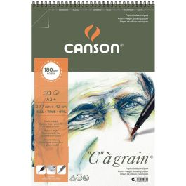 Canson C a' Grain Heavyweight Drawing Paper - Fine Grain 180 GSM