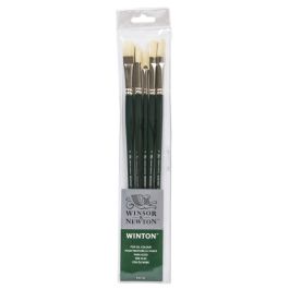 Winsor & Newton Winton Hog Bristle Brush - Assorted Set- Long Handle - Pack of 5