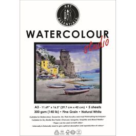 Art Essentials Watercolour Studio A3 (29.7 cm x 42 cm) Natural White Cold Press / Medium Surface 300 GSM Paper, Polypack of 5 Sheets