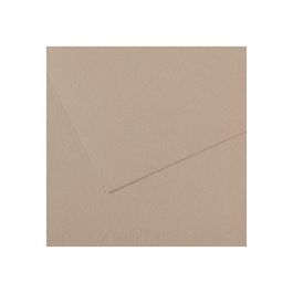 Canson Mi-Teintes Pastel Paper - 50 cm x 65 cm or 19.68'' x 25.59'' - Flannel Grey (122) - Honeycomb + Fine Grain 160 GSM - Pack of 25 Sheets