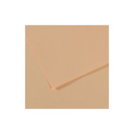 Canson Mi-Teintes Pastel Paper - 50 cm x 65 cm or 19.68'' x 25.59'' - Honey Suckle (350) - Honeycomb + Fine Grain 160 GSM - Pack of 25 Sheets