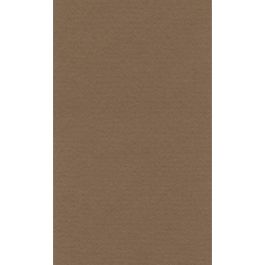 Lana Colour Pastel Paper 45% Cotton - A4 (21 cm x 29.7cm or 8.3'' x 11.7'') Bisque - Textured + Smooth 160 GSM - Pack of 10 Sheets