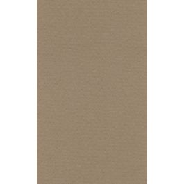 Lana Colour Pastel Paper 45% Cotton - A4 (21 cm x 29.7cm or 8.3'' x 11.7'') Brown - Textured + Smooth 160 GSM - Pack of 10 Sheets