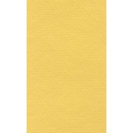 Lana Colour Pastel Paper 45% Cotton - A4 (21 cm x 29.7cm or 8.3'' x 11.7'') Canary - Textured + Smooth 160 GSM - Pack of 10 Sheets