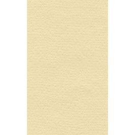 Lana Colour Pastel Paper 45% Cotton - A4 (21 cm x 29.7cm or 8.3'' x 11.7'') Cream - Textured + Smooth 160 GSM - Pack of 10 Sheets