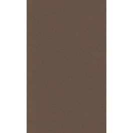 Lana Colour Pastel Paper 45% Cotton - A4 (21 cm x 29.7cm or 8.3'' x 11.7'') Dark Brown - Textured + Smooth 160 GSM - Pack of 10 Sheets