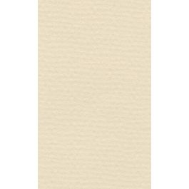 Lana Colour Pastel Paper 45% Cotton - A4 (21 cm x 29.7cm or 8.3'' x 11.7'') Ivory - Textured + Smooth 160 GSM - Pack of 10 Sheets