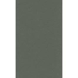 Lana Colour Pastel Paper 45% Cotton - Imperial (50 cm x 65cm or 19.68'' x 25.59'') Ivy - Textured + Smooth 160 GSM - Pack of 10 Sheets