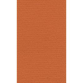 Lana Colour Pastel Paper 45% Cotton - A4 (21 cm x 29.7cm or 8.3'' x 11.7'') Orange - Textured + Smooth 160 GSM - Pack of 10 Sheets