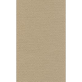 Lana Colour Pastel Paper 45% Cotton - A4 (21 cm x 29.7cm or 8.3'' x 11.7'') Oyster - Textured + Smooth 160 GSM - Pack of 10 Sheets