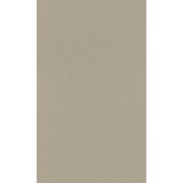 Lana Colour Pastel Paper 45% Cotton - A4 (21 cm x 29.7cm or 8.3'' x 11.7'') Pearl - Textured + Smooth 160 GSM - Pack of 10 Sheets