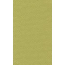 Lana Colour Pastel Paper 45% Cotton - A4 (21 cm x 29.7cm or 8.3'' x 11.7'') Pistachio - Textured + Smooth 160 GSM - Pack of 10 Sheets