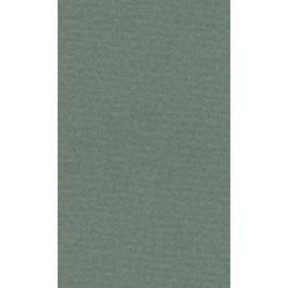 Lana Colour Pastel Paper 45% Cotton - A4 (21 cm x 29.7cm or 8.3'' x 11.7'') Sage - Textured + Smooth 160 GSM - Pack of 10 Sheets