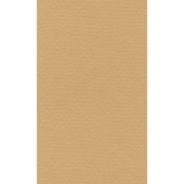 Lana Colour Pastel Paper 45% Cotton - A4 (21 cm x 29.7cm or 8.3'' x 11.7'') Sand - Textured + Smooth 160 GSM - Pack of 10 Sheets