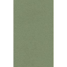 Lana Colour Pastel Paper 45% Cotton - Imperial (50 cm x 65cm or 19.68'' x 25.59'') Sap Green - Textured + Smooth 160 GSM - Pack of 10 Sheets