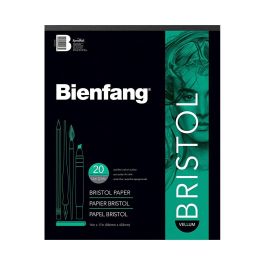 Speedball Bienfang Bristol Board Drawing Paper - Vellum Surface 238 GSM - 35.56 cm x 43.18 cm or 14